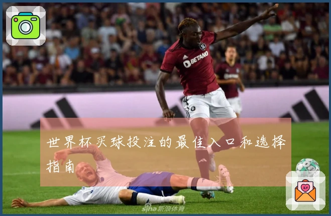 世界杯买球投注的最佳入口和选择指南