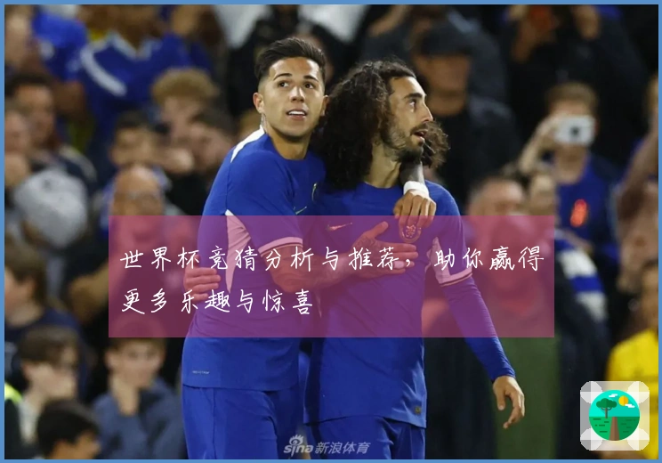 世界杯竞猜分析与推荐，助你赢得更多乐趣与惊喜