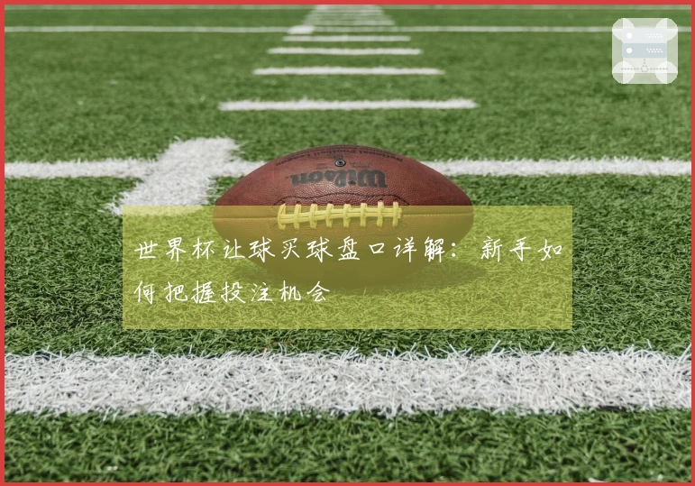 世界杯让球买球盘口详解：新手如何把握投注机会