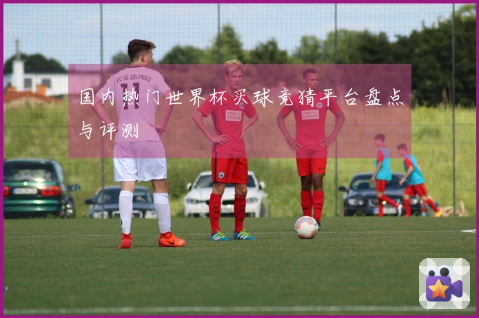 国内热门世界杯买球竞猜平台盘点与评测