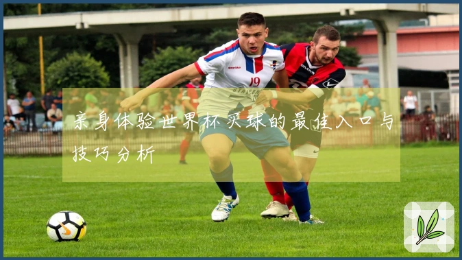 亲身体验世界杯买球的最佳入口与技巧分析