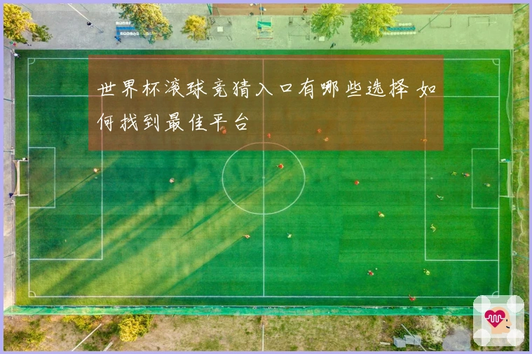 世界杯滚球竞猜入口有哪些选择 如何找到最佳平台