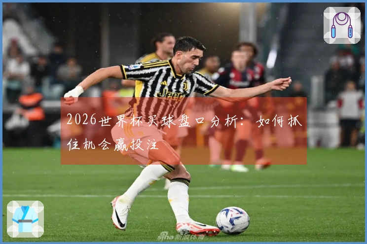 2026世界杯买球盘口分析：如何抓住机会赢投注