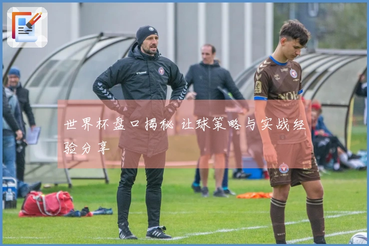 世界杯盘口揭秘 让球策略与实战经验分享