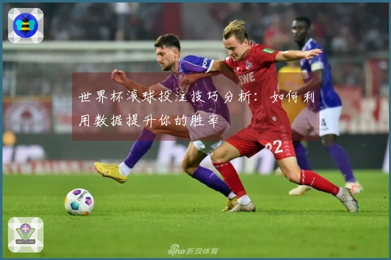 世界杯滚球投注技巧分析：如何利用数据提升你的胜率