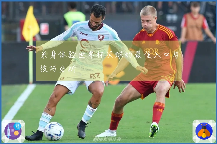 亲身体验世界杯买球的最佳入口与技巧分析