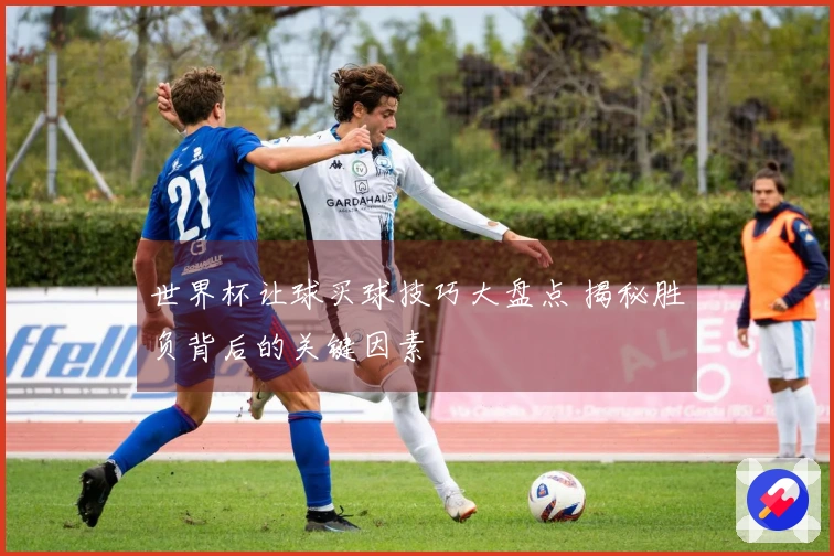 世界杯让球买球技巧大盘点 揭秘胜负背后的关键因素