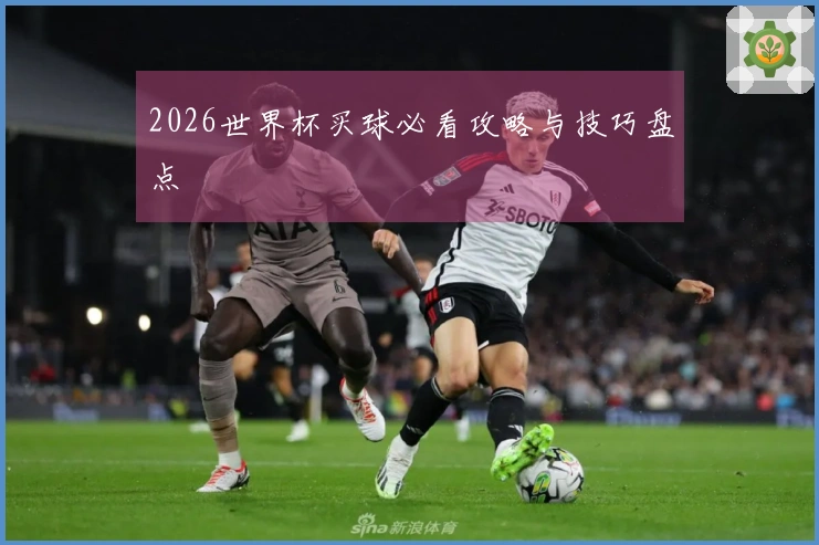 2026世界杯买球必看攻略与技巧盘点