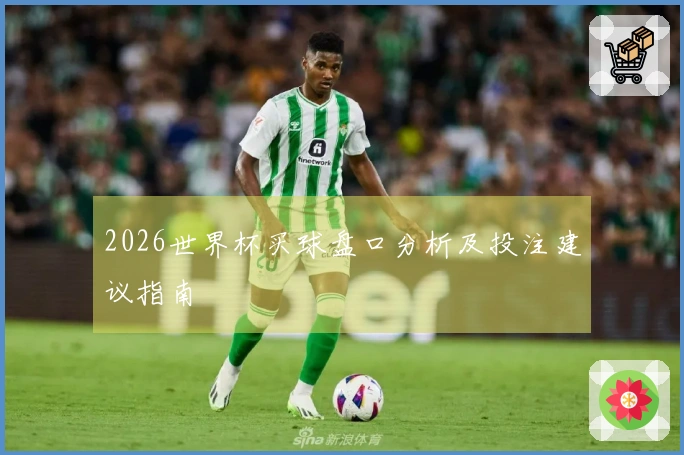 2026世界杯买球盘口分析及投注建议指南