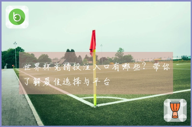 世界杯竞猜投注入口有哪些？带你了解最佳选择与平台
