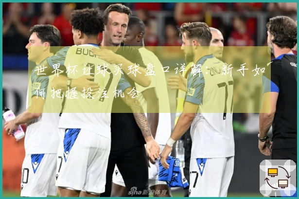 世界杯让球买球盘口详解：新手如何把握投注机会