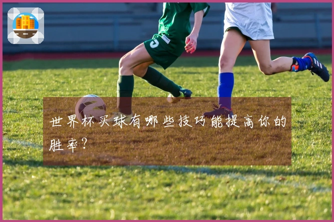世界杯买球有哪些技巧能提高你的胜率？