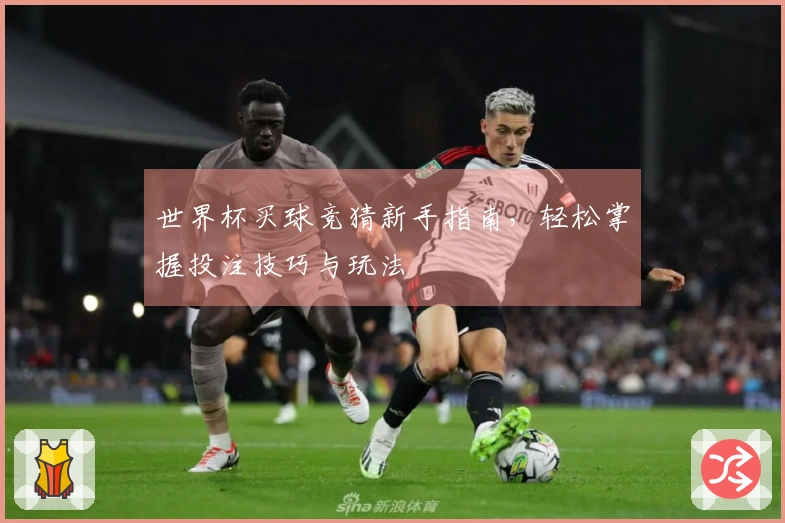 世界杯买球竞猜新手指南，轻松掌握投注技巧与玩法