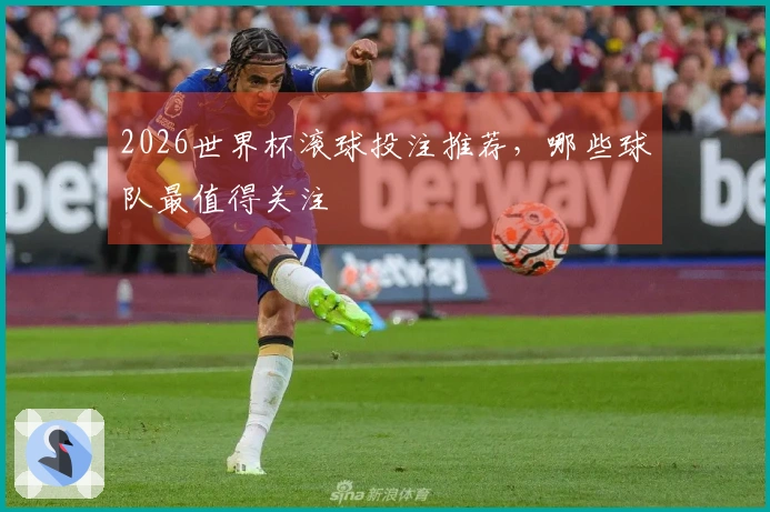 2026世界杯滚球投注推荐，哪些球队最值得关注