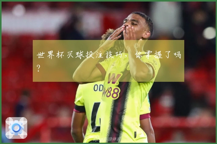 世界杯买球投注技巧，你掌握了吗？