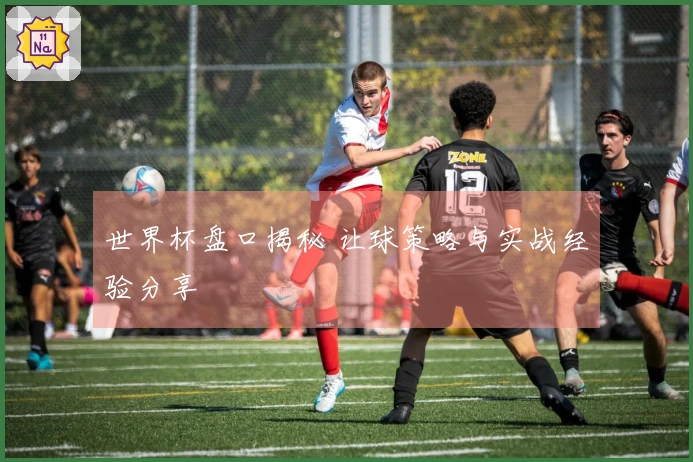 世界杯盘口揭秘 让球策略与实战经验分享