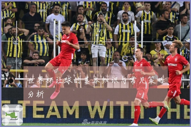世界杯让球的基本知识与常见策略分析