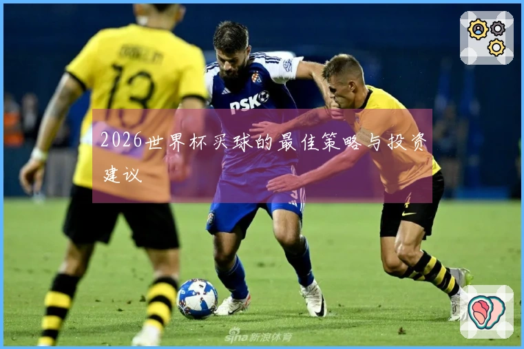 2026世界杯买球的最佳策略与投资建议