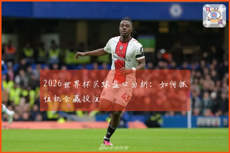 2026世界杯买球盘口分析：如何抓住机会赢投注